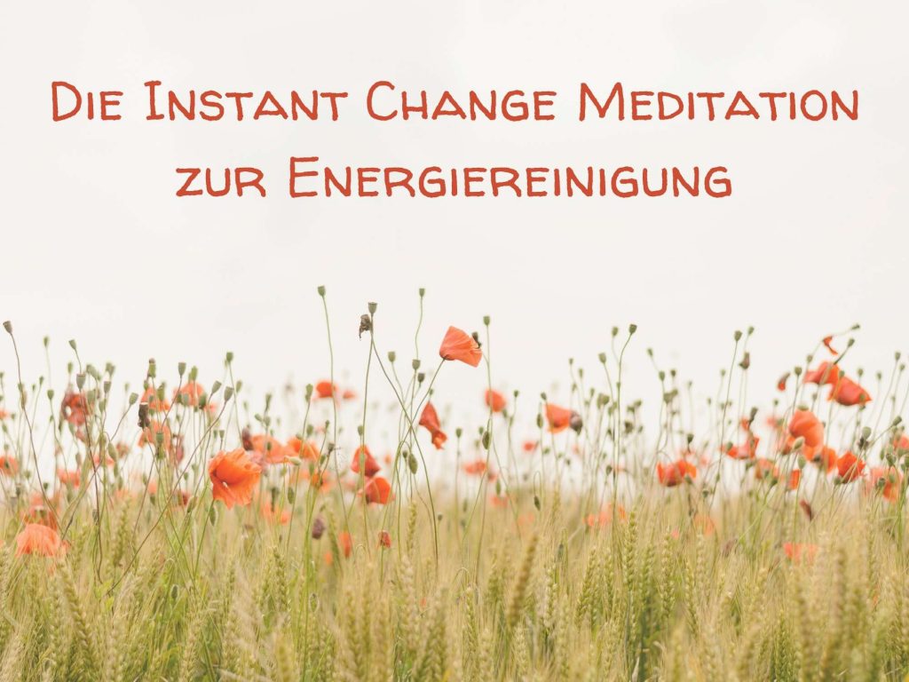 Instant Change Energiereinigung